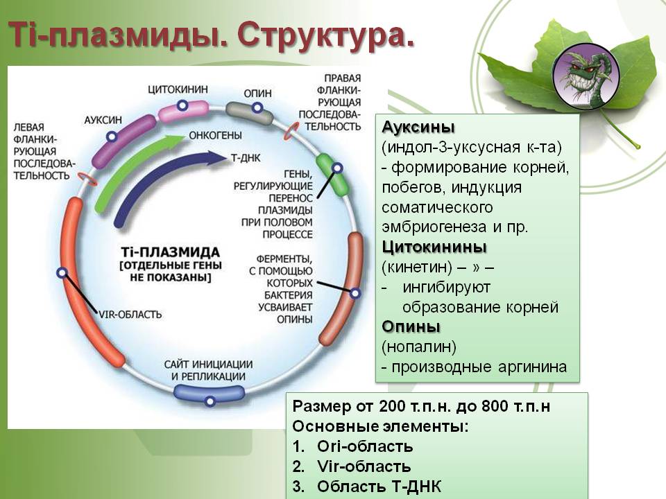 Кракен kr2web in что это