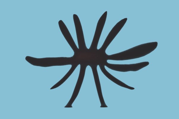 Ссылка на kraken at